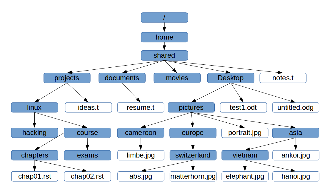_images/file_tree_scheme.png