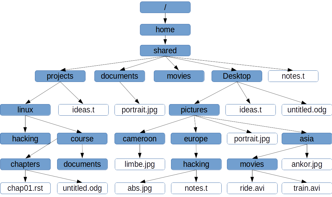 _images/file_tree_scheme-2.png